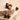 NOISETTES CRAQUANTES